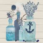 Splendid Shores V Art Print