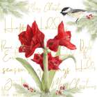 Merry Amaryllis I Art Print