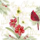 Merry Amaryllis III Art Print