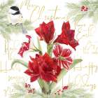 Merry Amaryllis IV Art Print