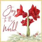 Merry Amaryllis V Art Print