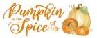 Pumpkin Spice Season panel II Art Print