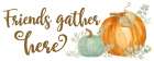 Pumpkin Tranquility panel I Art Print