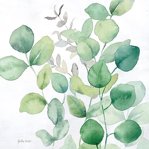 Eucalyptus Leaves I Nature Print
