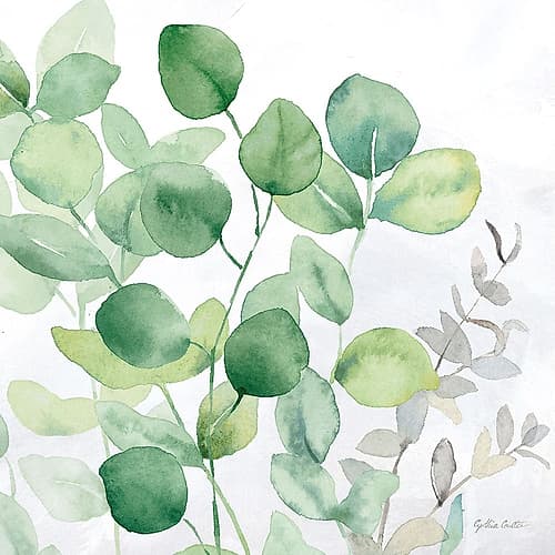Eucalyptus Leaves II Nature Print