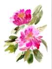 Farmhouse Florals VIII Art Print