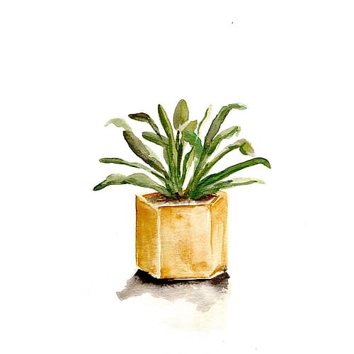 Potted Botanicals II Art Print by Marcy Chapman
