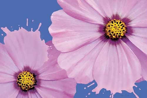 Flower Pop landscape I Art Print