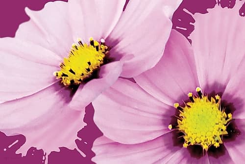 Flower Pop landscape II Art Print