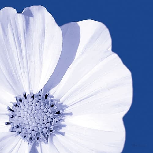 Flower Pop blue III Art Print