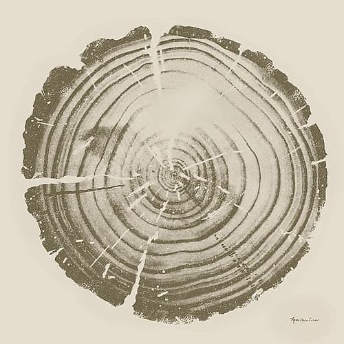 Tree Trunk cream II Art Print
