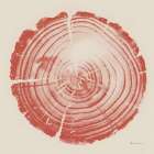 Tree Trunk peach on cream Art Print