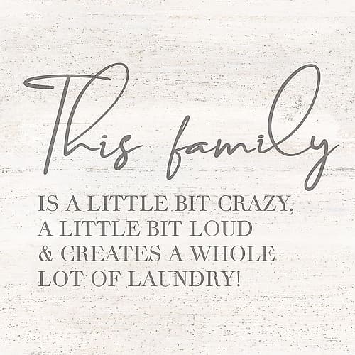 Laundry Room Humor IV-Family Art Print
