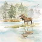 Woodland Reflections II-Moose Art Print