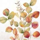 Eucalyptus Leaves spice I Art Print