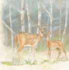 Woodland Reflections IV-Doe Art Print