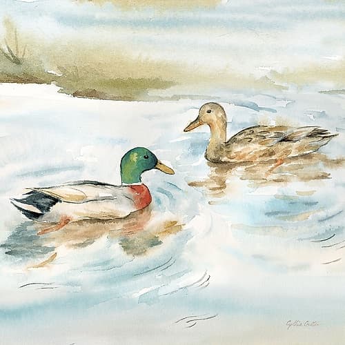 Woodland Reflections V-Mallards Art Print