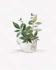 Botanical Mug I Botanical Print