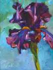 Iris in Bloom Art Print