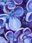 Lavender Floral Close Up Art Print