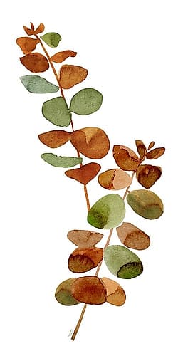 Fall Inspiration panel I Art Print