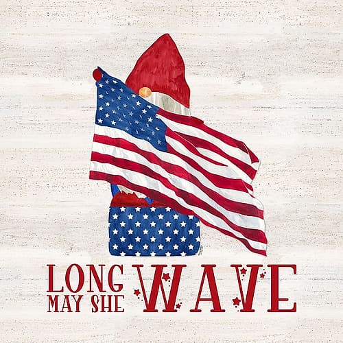Patriotic Gnomes V-Long may she wave Art Print