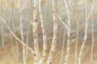 Autumn Birch landscape Art Print