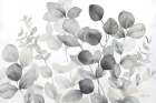 Eucalyptus Leaves landscape neutral Art Print