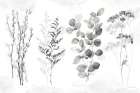 Indigo Botanicals landscape neutral Art Print