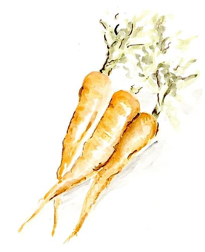Veggie Sketch plain  V-Carrots Art Print
