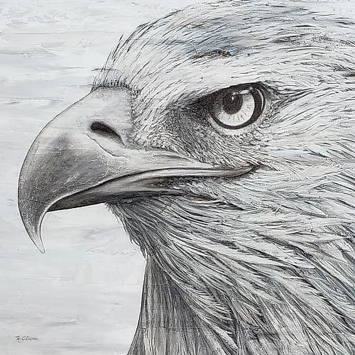 Portrait of an Eagle Art Print