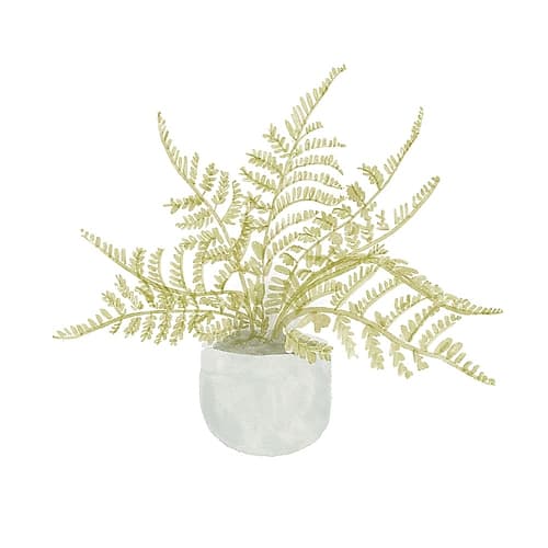 Potted Fern I Art Print by Bannarot