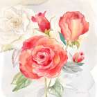 Garden Roses I Art Print