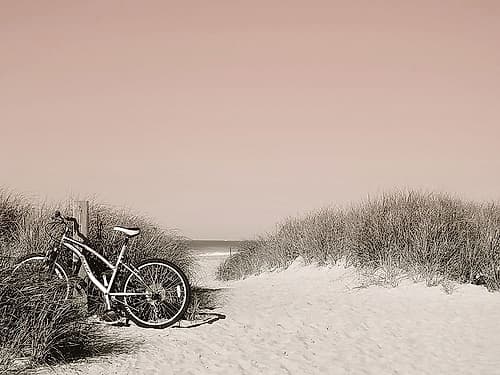 Ride  Paused Coastal Print