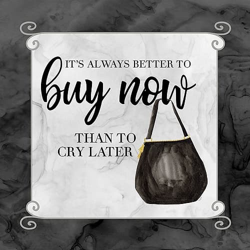 Fashion Humor VIII-Buy Now Art Print