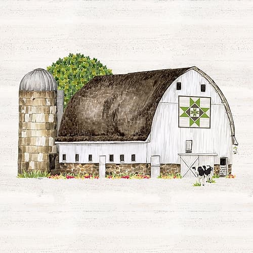 Spring and Summer Barn Quilt IV Art Print