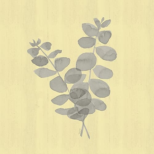 Natural Inspiration Eucalyptus gray And yellow I Nature Print
