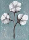 Cotton Stalks II Botanical Print