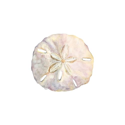 Oceanum Shells white IV-Sand Dollar Coastal Print