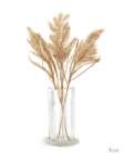 Dried  Flower IV Art Print