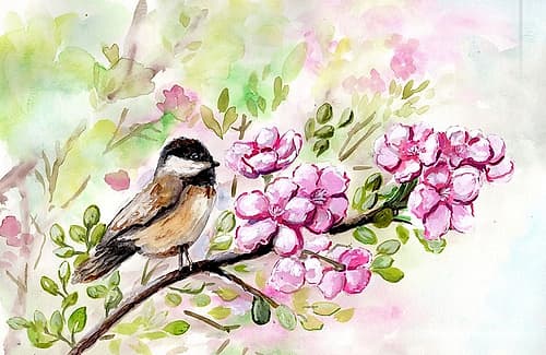 Spring  Chickadee and Apple Blossoms Art Print by Marcy Chapman