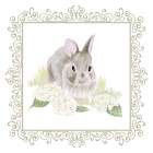 Vintage  Easter IV Art Print