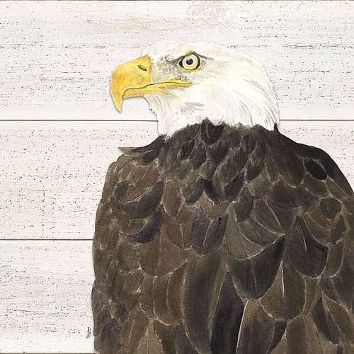 Let  Freedom Soar II Holidays Print