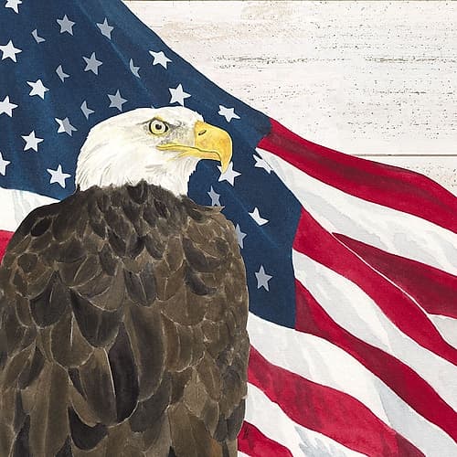 Let  Freedom Soar III Holidays Print