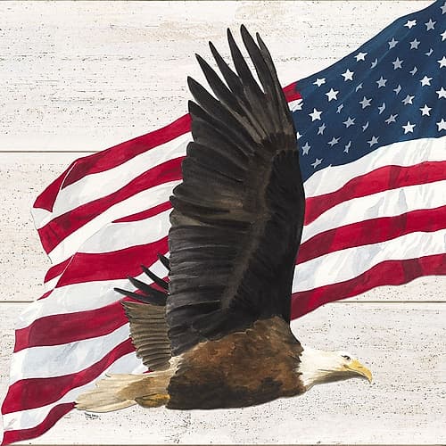 Let  Freedom Soar V Holidays Print