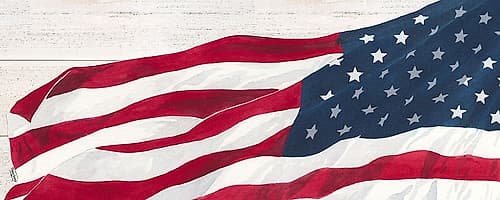 Let  Freedom Soar panel I Holidays Print