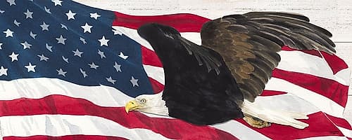 Let  Freedom Soar panel II Holidays Print
