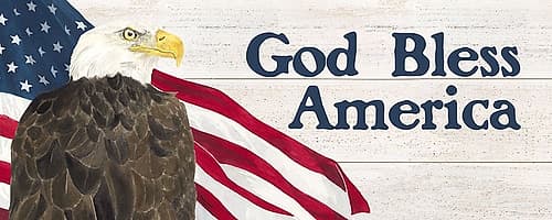 Let  Freedom Soar Sentiment panel I-God Bless Holidays Print