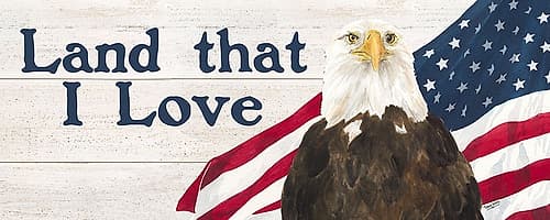 Let  Freedom Soar Sentiment panel II-Land Holidays Print