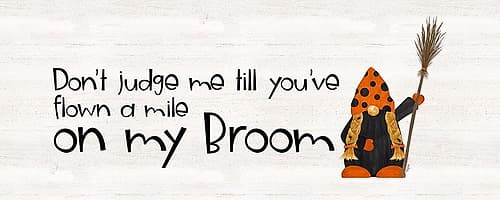 Gnomes of Halloween panel IV-My Broom Art Print